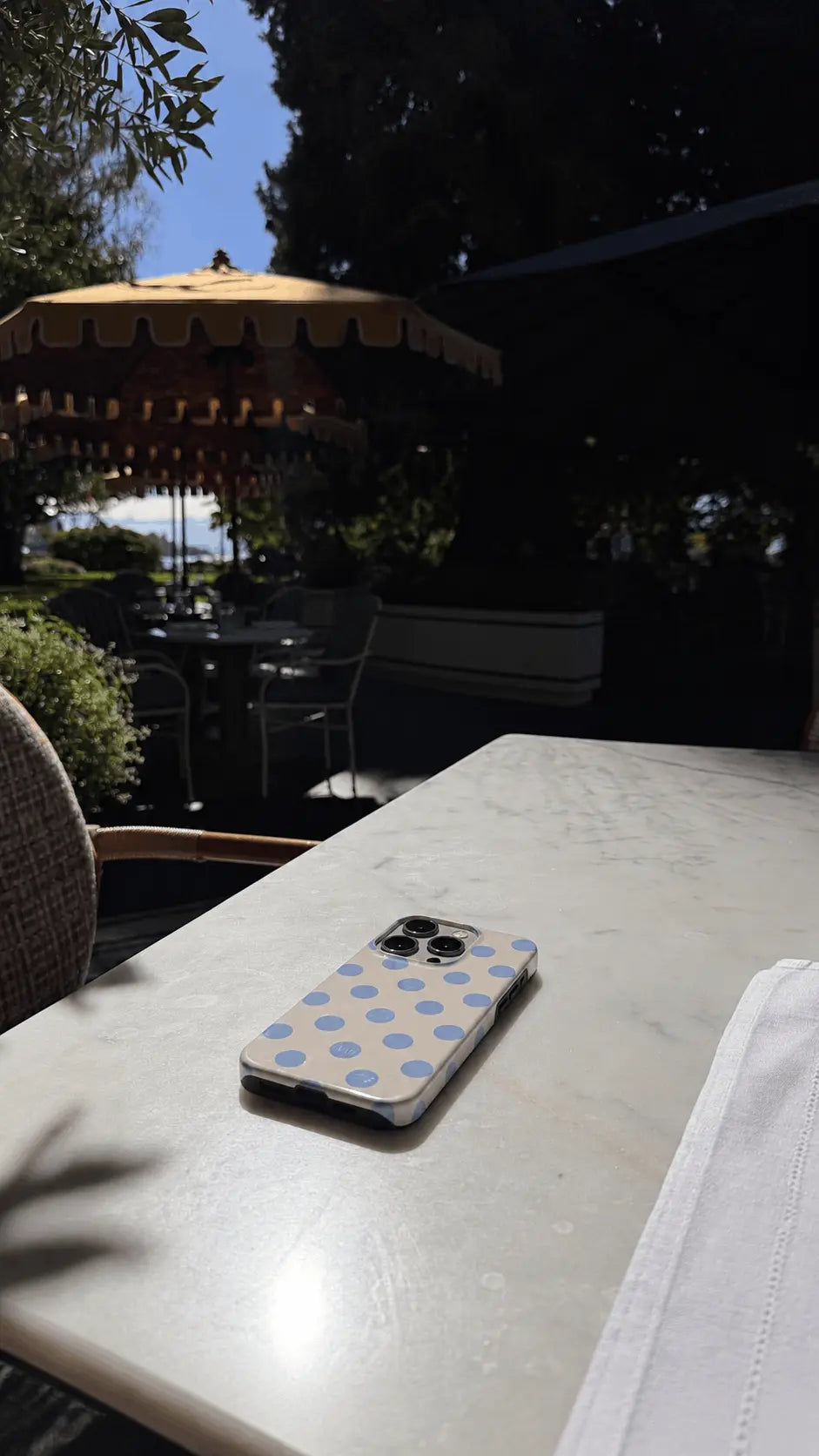 Blue Vanilla Case